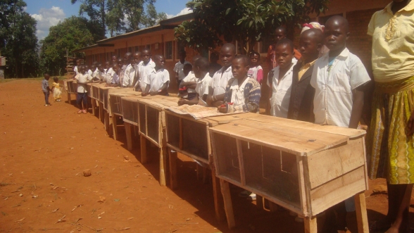 Classe de 6ème à Lukumbo avec leurs clapiers