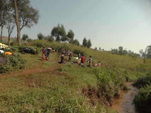 Une source près de la rivière