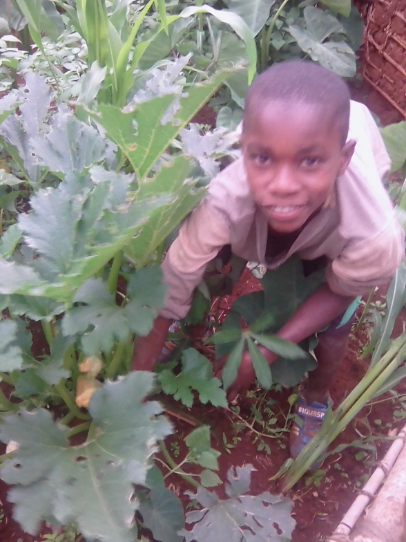 Un enfant pauvre avec son plant de courgette dans notre programme d'éducation: élevage et culture