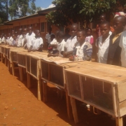 Classe de 6ème à Lukumbo avec leurs clapiers